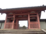 ninnajinakamon.jpg