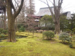 koryujikoke1.jpg