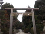 kaikonoyasirotorii.jpg