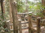 kaikoyasiro3torii1.jpg