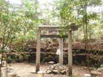 kaikonoyasiro3torii2.jpg