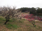 2012soriume1.jpg