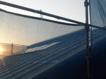 201231413.jpg