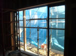 20123153.jpg