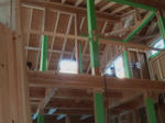20123154.jpg