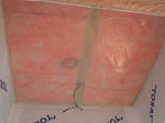 20123212.jpg