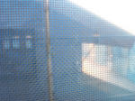 20123273.jpg