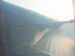 20123274.jpg