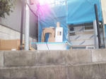 20123281.jpg
