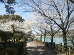 nakanoikekoen3.jpg