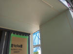 20124181.jpg