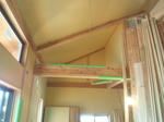 20124187.jpg