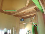 20124188.jpg