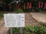 aguisiroyamakoenwatabakake.jpg