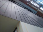 20124202.jpg