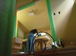 201242010.jpg