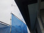 20125031.jpg