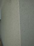 20125036.jpg
