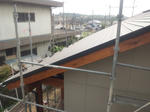 20125081.jpg