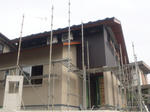 20125083.jpg