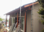 20125085.jpg