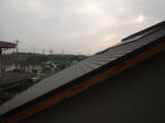 20125088.jpg