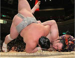 2012natubashokamekotooshu.jpg