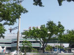 hiroisokogai2.jpg
