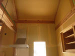 20125194.jpg