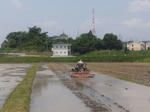 tanbo2.jpg