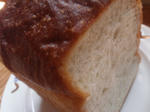 pannotora.jpg