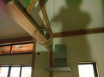 20125254.jpg