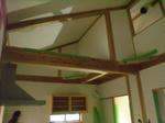 20125255.jpg