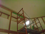 20125256.jpg