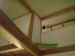 20125257.jpg