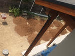 20126041.jpg