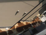 20126042.jpg