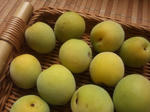 2012605ume.jpg