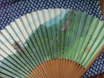 hirayamaikuosensu.jpg