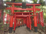 takakurainarishatorii.jpg