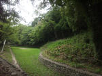 danpusankofun.jpg