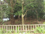 siratorikofun.jpg