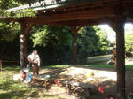 asageikohajime2012708.jpg