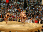 2012takanoyama.jpg