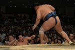 2012akikakuryuhomasho.jpg