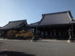 kyotobukoji.jpg