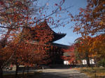 tojikoyo4.jpg