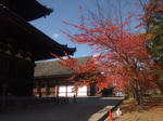 tojikoyo5.jpg