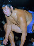 daitetu.jpg
