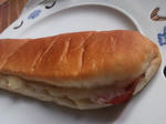 hotpanini.jpg